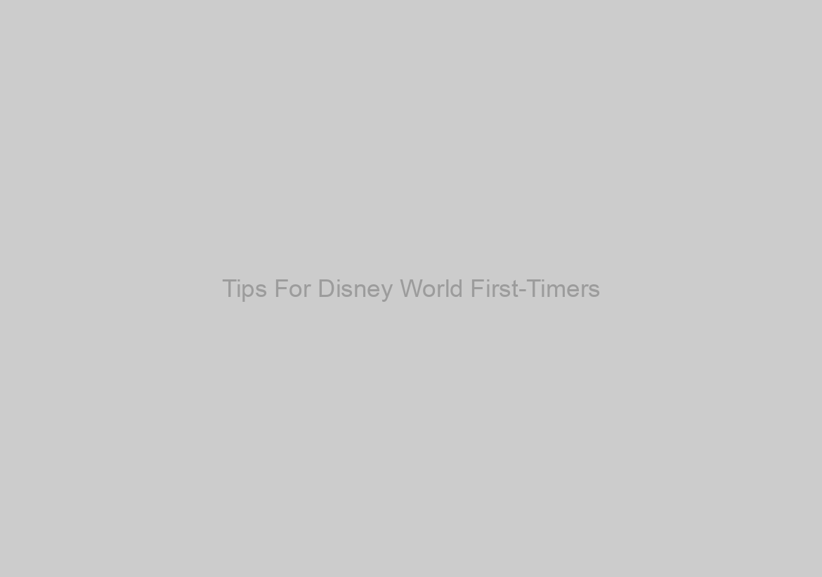 Tips For Disney World First-Timers